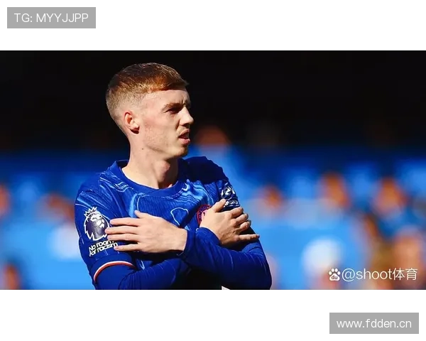 帕尔默的突破效率与进攻参与度具体如何？